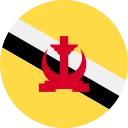 汶萊元