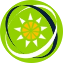 東加勒比元